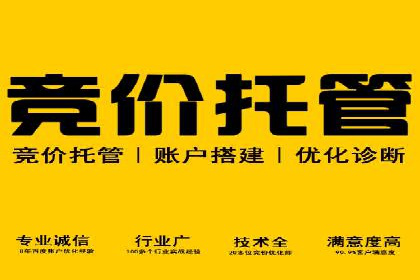 案例分析：托管竞价SEM助力企业品牌提升